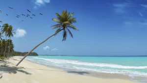 cayman islands wedding